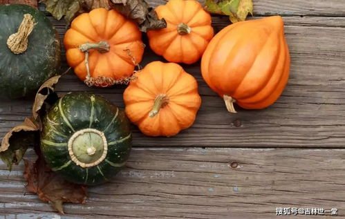 如何充分利用南瓜电影网页