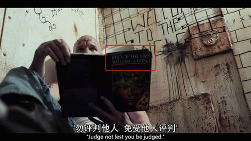 5. 网站E：恐怖电影的多语种选择