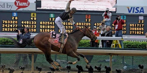 无敌马电影网的优势