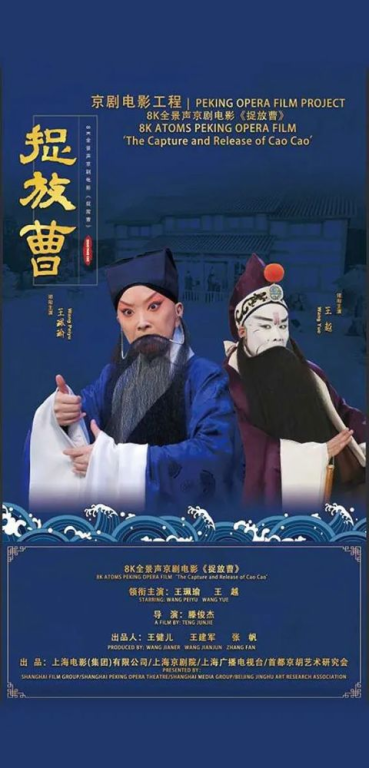 D电影网的技术特点