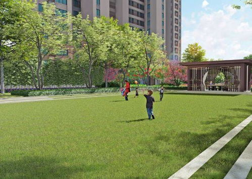 互动社区的建立