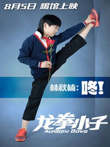 如何使用ppypp电影网