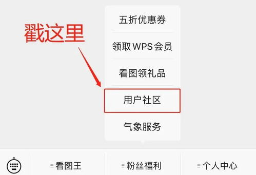 互动社区与用户反馈