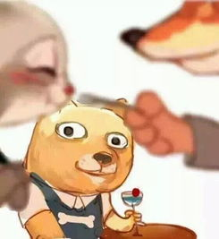 神马电影网与达达兔的内容对比