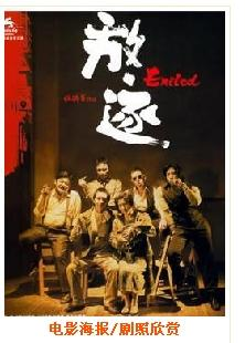 五天电影网页版简介