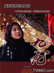 午夜九九秋霞电影网简介