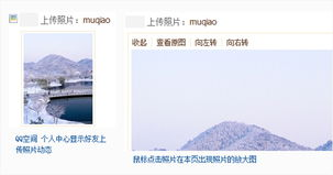 用户体验与互动性