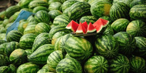 92看看电影网西瓜的优势