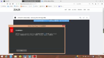 网站特点：播放流畅性