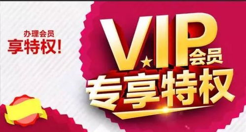 860电影网的会员服务