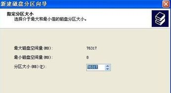 选择合适的下载格式