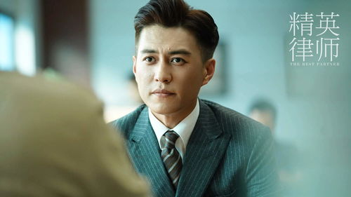 精英律师电影特色