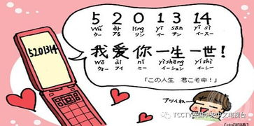 文化差异与共通性