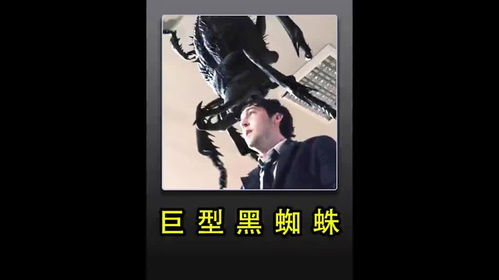 天天电影网对初学修女的启示