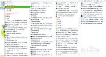 网站内容与分类