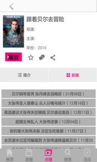 手机8s电影网简介