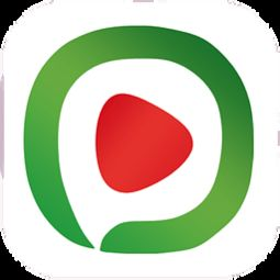 西瓜电影网概述