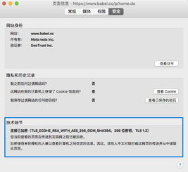 网盘资源的安全性考量