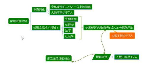 内容审查的伦理标准