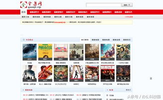 电影网网的主要功能