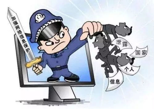 网络安全与隐私保护