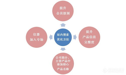 搜索引擎优化（SEO）策略