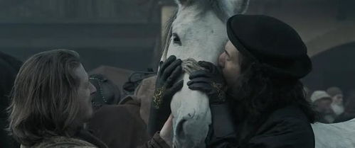 如何使用骑士电影网