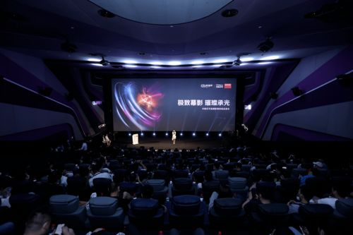 影片质量和播放体验