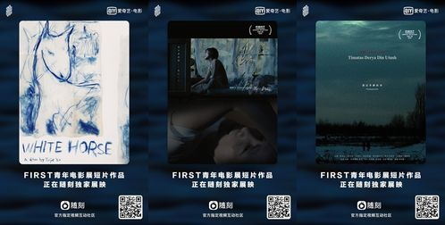 武帝电影网站的社区互动