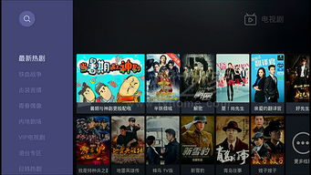 影片质量与更新速度