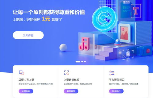解决方案：版权保护