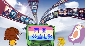 西图电影网概览