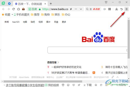 步骤三：设置浏览器安全选项