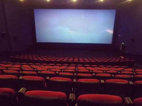 大地电视电影网影院的特色服务