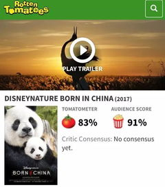 熊猫电影网的安全性