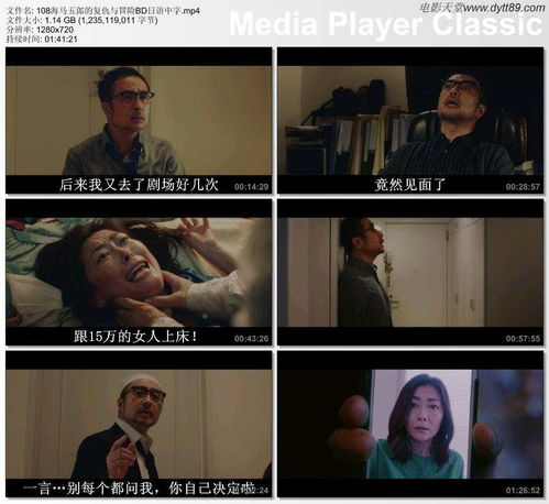 日本中文字幕电影的版权问题