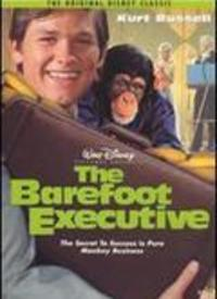 如何高效使用Tk赤足电影网