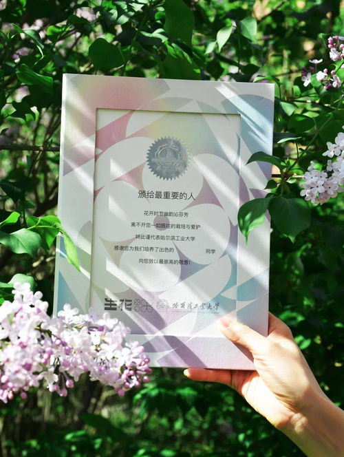 Tk赤足电影网的播放体验