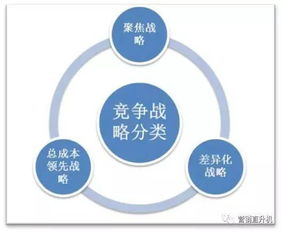 市场竞争与差异化策略