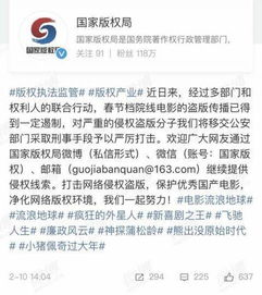 打击盗版电影网站的措施