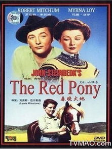 春晓电影网概述