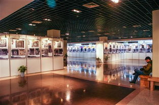 2. 利用公共图书馆资源