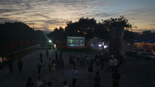 坝坝电影网简介