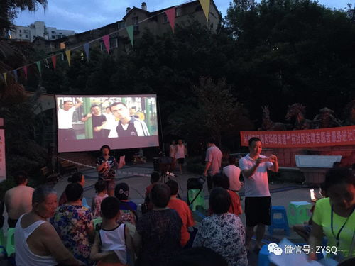 坝坝电影网的社区互动