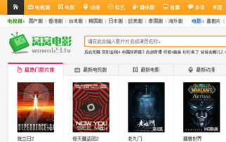 窝窝电影网概述