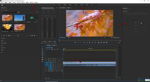 音效与配乐的融合