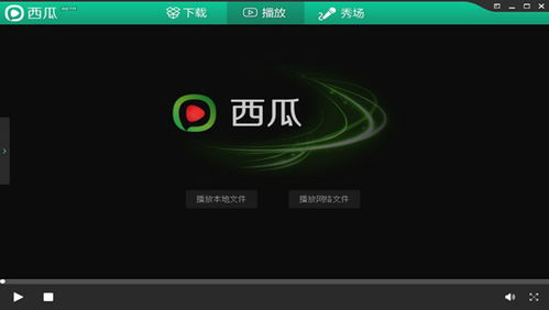 西瓜播放器支持的电影格式