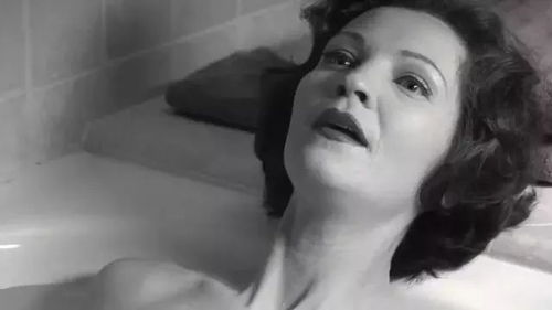 影片库的丰富性