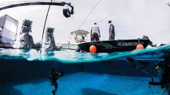 鲨鱼电影的特效技术