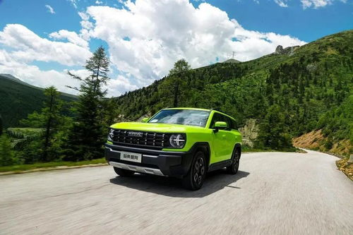 酷狗电影网牧马人简介